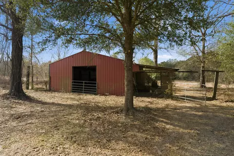Other - 2133 Salem Campground Rd, Lucedale, MS 39452 photo 13 of 13