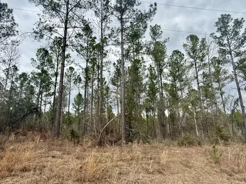 49 Stuart, Sumrall, MS 39482