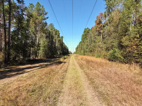 40 Mol Ac Old Hwy 24, Mclain, MS 39456 photo 6