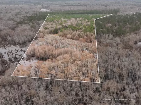 53 Mol Ac Old Hwy 24, Mclain, MS 39456