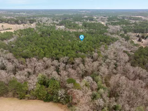 View/Area - 105 Old Salt, Sumrall, MS 39482 photo 5 of 5