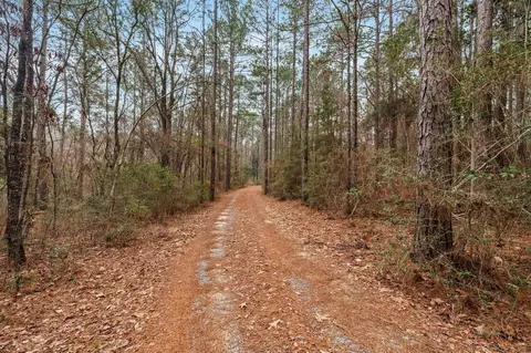 Other - 105 Old Salt, Sumrall, MS 39482 photo 3 of 21