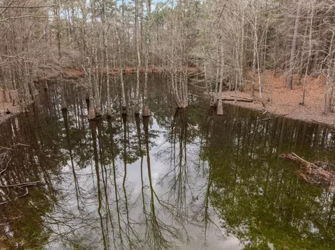 View/Area - 105 Old Salt, Sumrall, MS 39482 photo 1 of 5