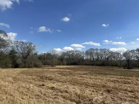 00 Hurricane Creek Rd, Lumberton, MS 39455