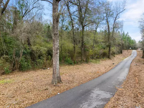 2 6 Mol Ac Nicholson Rd, Richton, MS 39476 photo 6