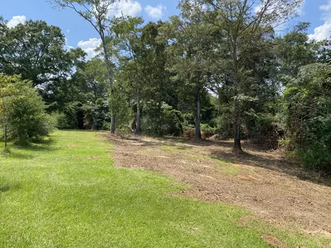 9 97 Mol Leaf River Church Rd, Collins, MS 39428