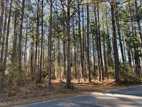 0000 Davis Ln, Sumrall, MS 39482