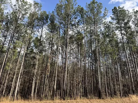 24 88ac Epley, Sumrall, MS 39482