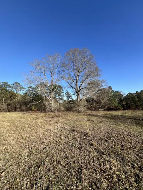 1270 Hilt Fornea, Poplarville, MS 39470