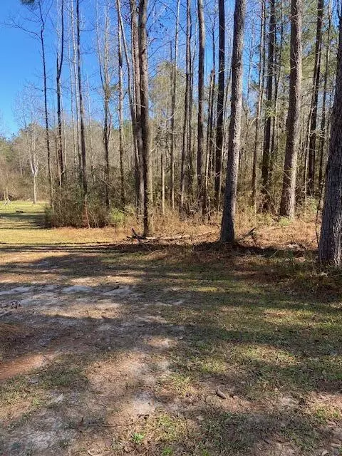 00 Oral Church Rd, Sumrall, MS 39482