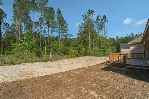 Exterior - 49 Pipestone Pass, Sumrall, MS 39482 photo 7 of 9