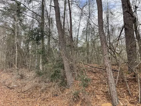 tbd Craft Rd Us 49, Magee, MS 39111 photo 3