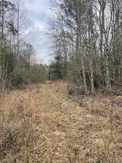 tbd Craft Rd Us 49, Magee, MS 39111 photo 14