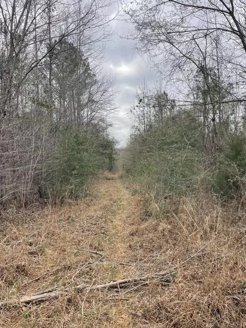tbd Craft Rd Us 49, Magee, MS 39111 photo 10