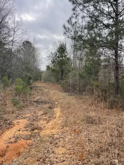 tbd Craft Rd Us 49, Magee, MS 39111 photo 9