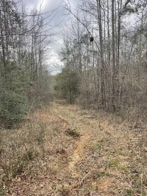 tbd Craft Rd Us 49, Magee, MS 39111 photo 16