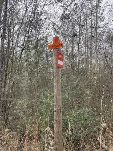 tbd Craft Rd Us 49, Magee, MS 39111 photo 15