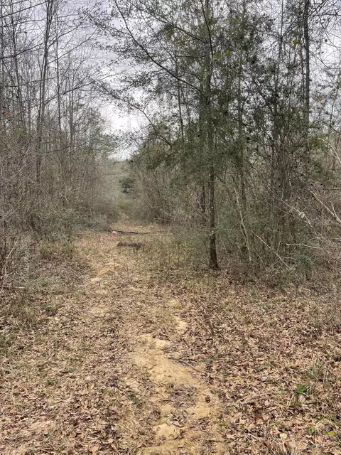 tbd Craft Rd Us 49, Magee, MS 39111 photo 13