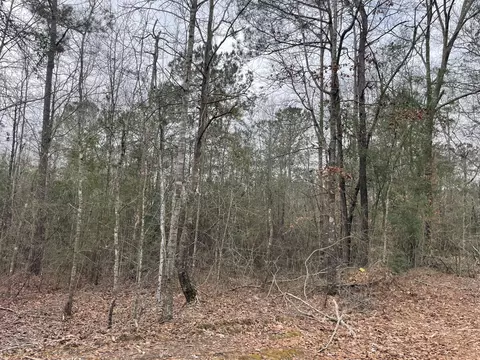 tbd Craft Rd Us 49, Magee, MS 39111 photo 6