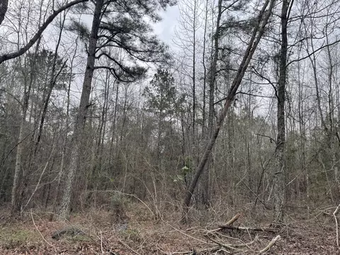 tbd Craft Rd Us 49, Magee, MS 39111 photo 7