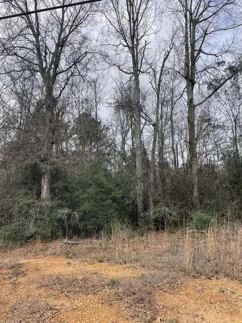 tbd Craft Rd Us 49, Magee, MS 39111 photo 11