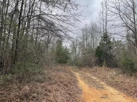 tbd Craft Rd Us 49, Magee, MS 39111 photo 8