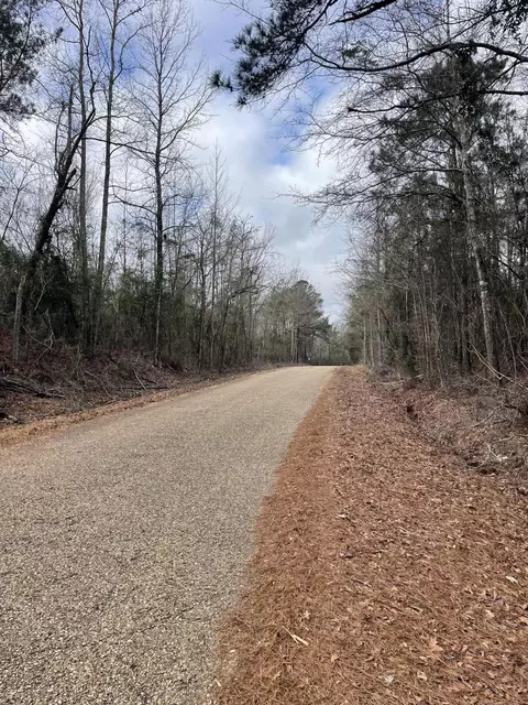tbd Craft Rd Us 49, Magee, MS 39111 photo 2