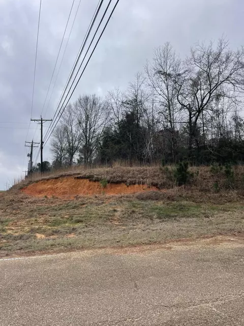 tbd Craft Rd Us 49, Magee, MS 39111 photo 5