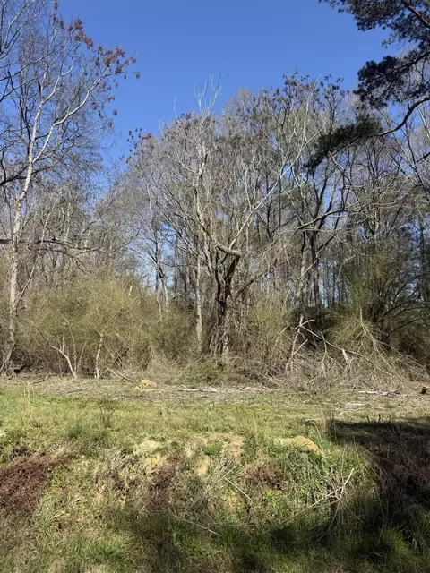 4 6 Ac Morgantown Rd, Foxworth, MS 39483