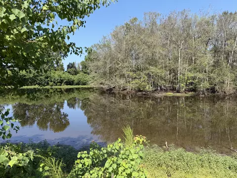 View/Area - 26 Stonemore, Petal, MS 39465 photo 1 of 4
