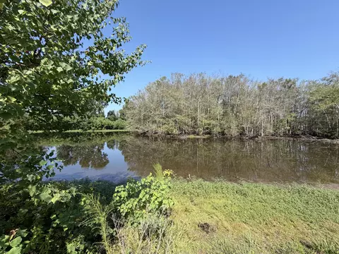 View/Area - 32 Stonemore, Petal, MS 39465 photo 3 of 4