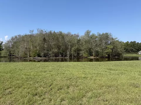 View/Area - 32 Stonemore, Petal, MS 39465 photo 2 of 4