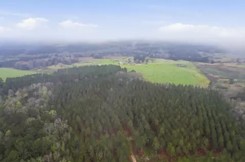 186 Friendship, Carson, MS 39427 photo 12