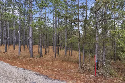186 Friendship, Carson, MS 39427 photo 16
