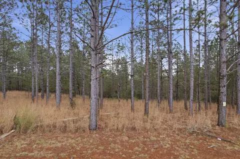 186 Friendship, Carson, MS 39427 photo 17
