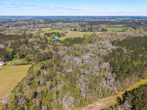 136 Salem School Rd, Collins, MS 39428 photo 36