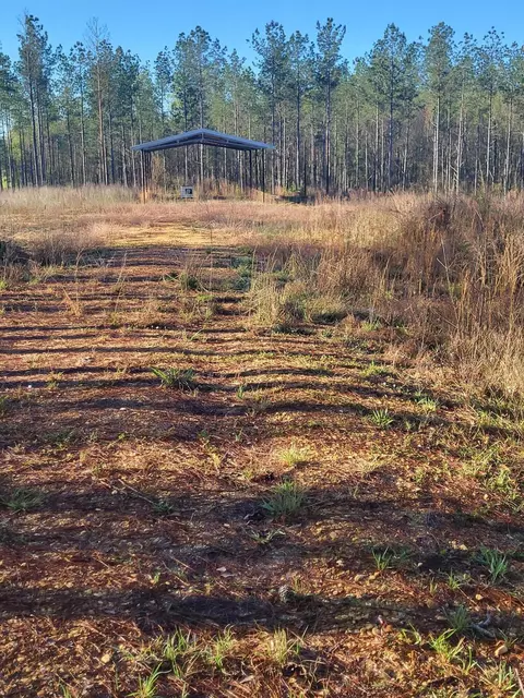 1575 Purvis To Baxterville, Purvis, MS 39475
