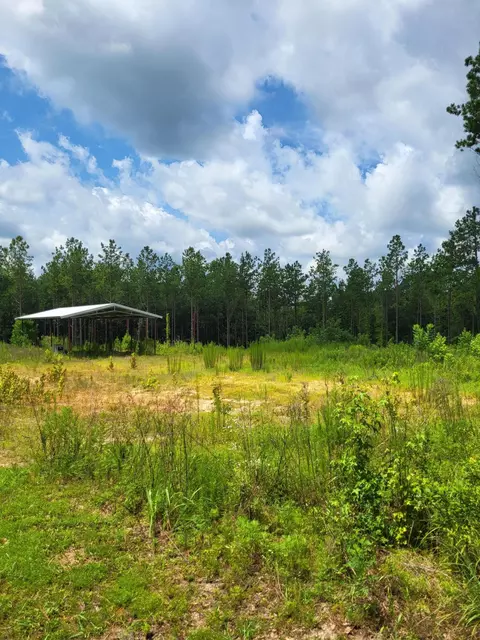 1575 Purvis To Baxterville, Purvis, MS 39475
