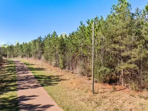 0 Fairwinds, Sumrall, MS 39482 photo 10