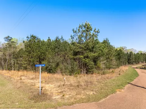 0 Fairwinds, Sumrall, MS 39482 photo 9
