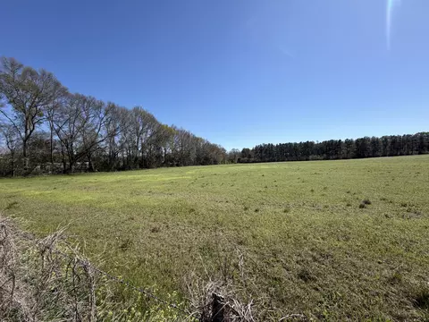 11 32 Acre Magnolia Rd, Perkinston, MS 39573