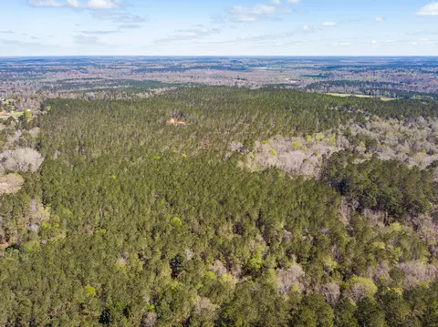 lot2 Timothy Rd, Ellisville, MS 39437