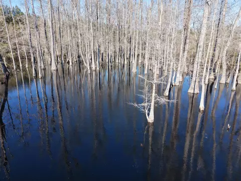 0 Macedonia Rd, Petal, MS 39465