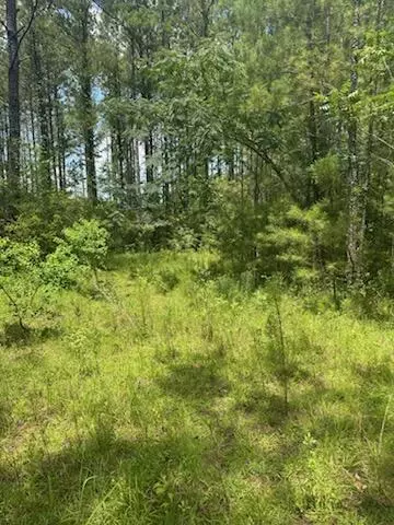 00 Longleaf Dr, Petal, MS 39465 photo 2