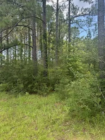 00 Longleaf Dr, Petal, MS 39465 photo 4