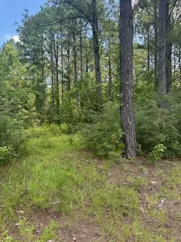 00 Longleaf Dr, Petal, MS 39465 photo 3