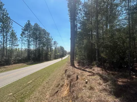 00 Old Highway 11, Lumberton, MS 39455