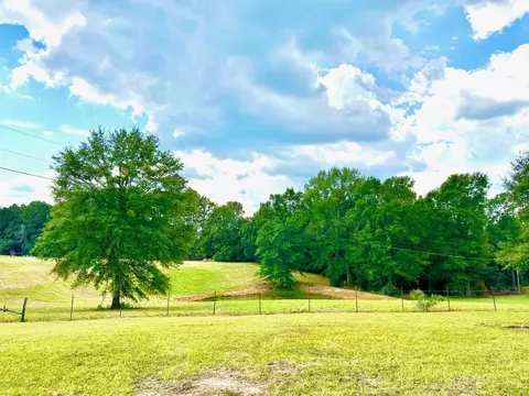 00 Beach Rd, Purvis, MS 39475 photo 12