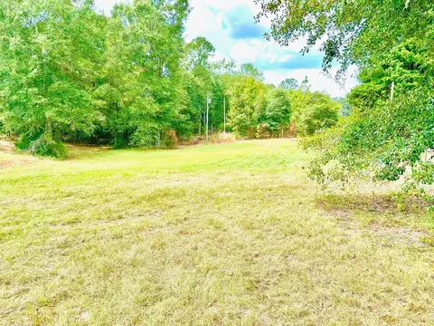 00 Beach Rd, Purvis, MS 39475 photo 7
