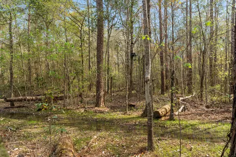 9460 Janice Brooklyn Rd, Brooklyn, MS 39425 photo 13